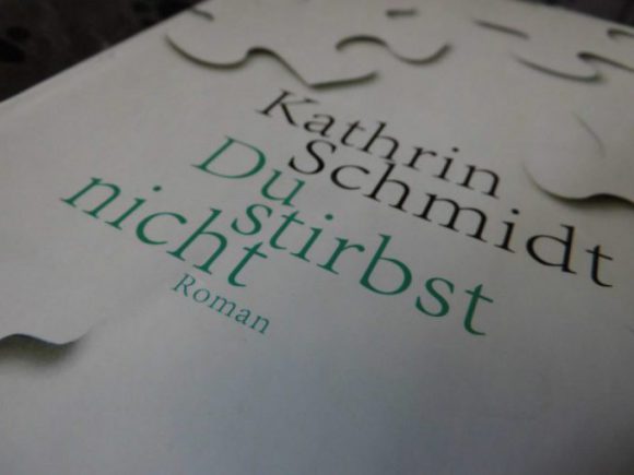 Cover, Kathrin Schmidt, Du stirbst nicht